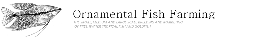 Ornamental Fish Farming